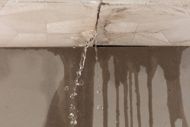 Professional Flood Damage Cleanup technician working in Tower, MN